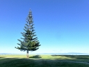 whiteisland (28)